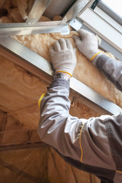 Best Commercial Insulation in Riverside, IA