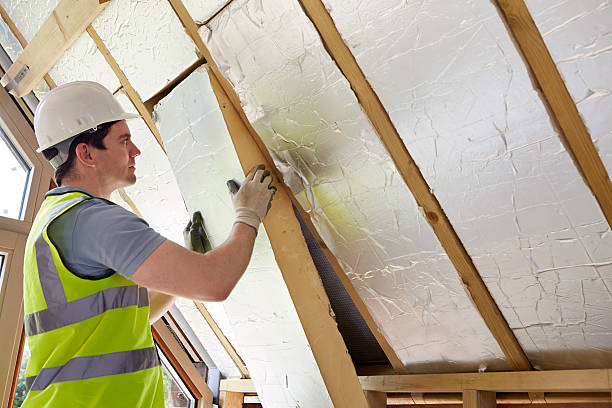Best Insulation Maintenance and Repair in Riverside, IA